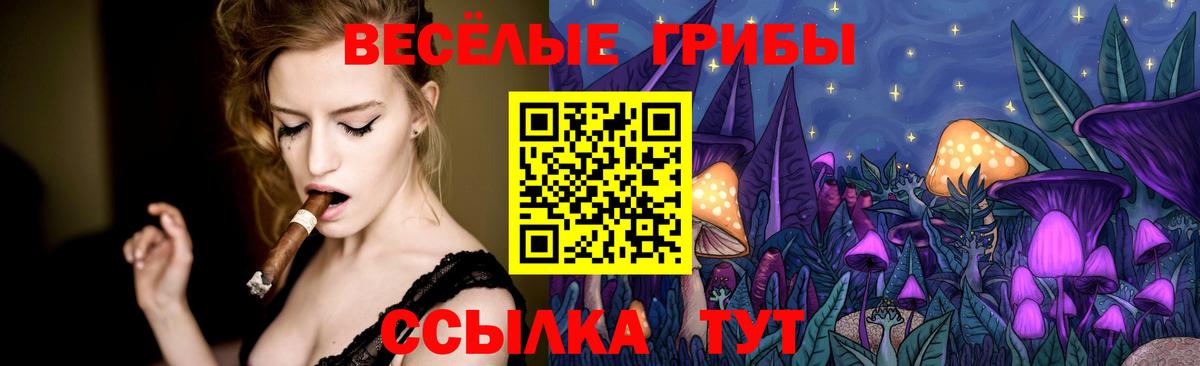 Тулун  Галлюциногенные грибы GOLDEN TEACHER  Псилоцибиновые грибы Cubensis  Вход с VPN 